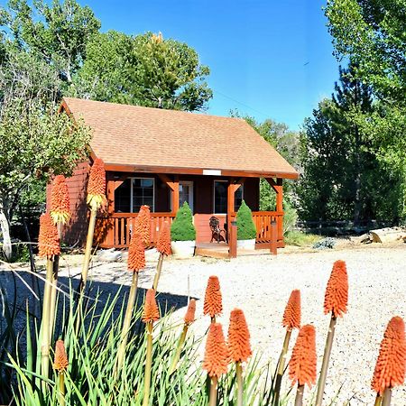 Arrowhead Country Cabins Villa Mount Carmel Exterior photo